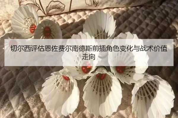 切尔西评估恩佐费尔南德斯前插角色变化与战术价值走向